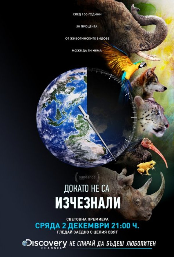 Снимка: Discovery Channel