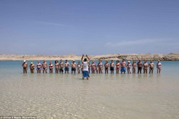 Снимка: Neutral Grey