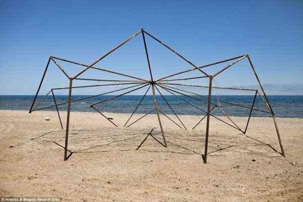 Снимка: Neutral Grey