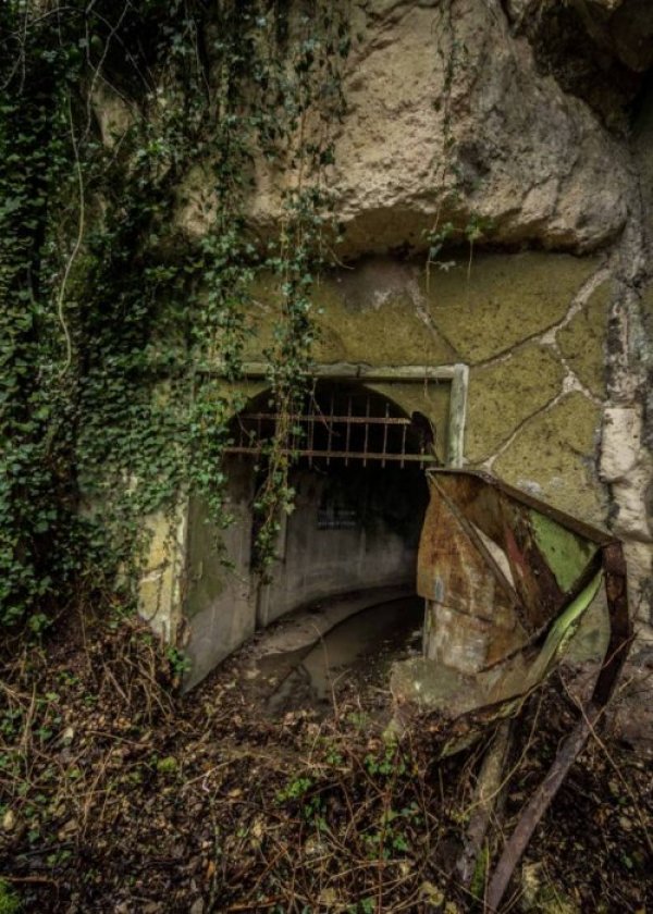 Снимка: Марк Аскат, mediadrumworld.com