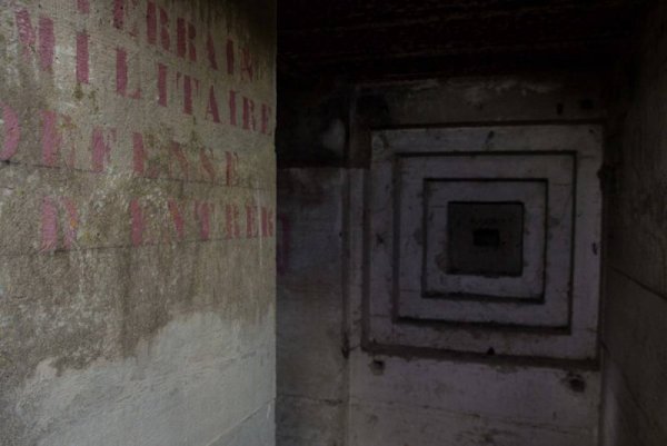 Снимка: Марк Аскат, mediadrumworld.com