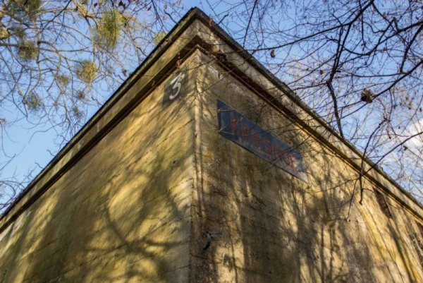 Снимка: Марк Аскат, mediadrumworld.com