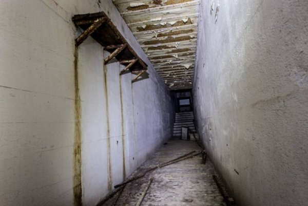 Снимка: Марк Аскат, mediadrumworld.com