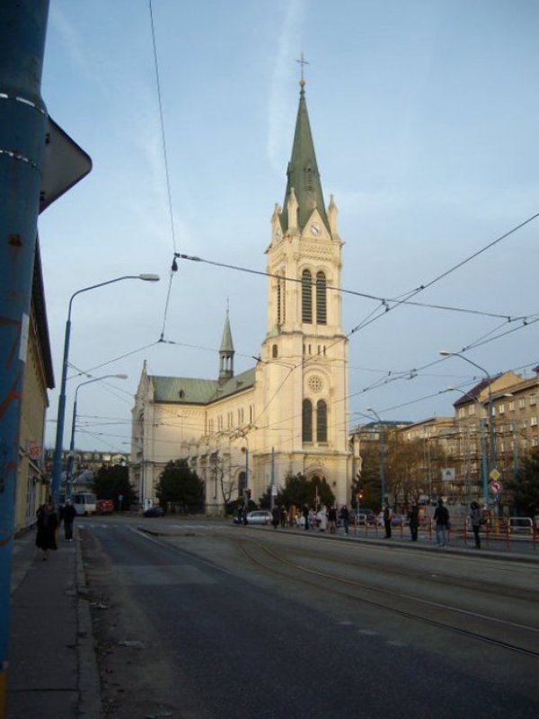 Снимка: Станимир Стефанов