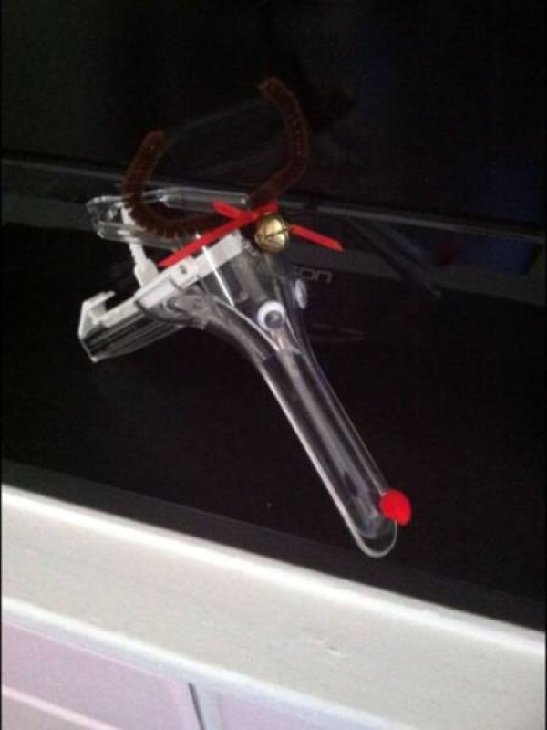 Снимка: izismile