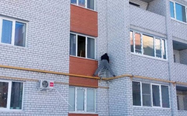 Снимка: izismile