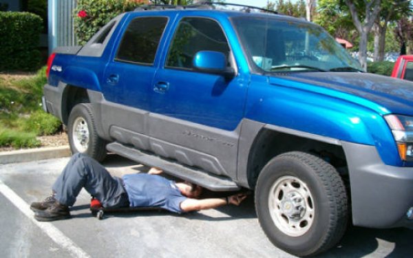 Снимка: izismile