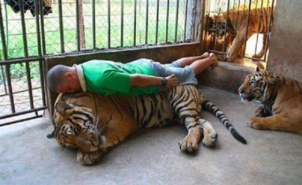 Снимка: izismile