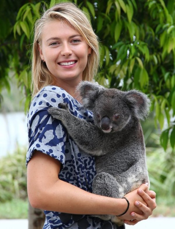 Мария Шарапова гушка коала при посещението си в природен парк в Бризбейн. Снимка: БТА