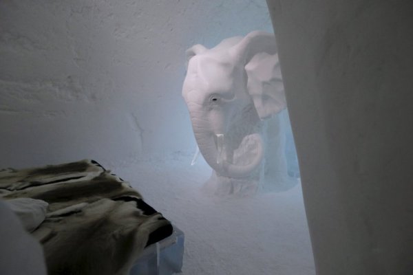 Снимка: Reuters