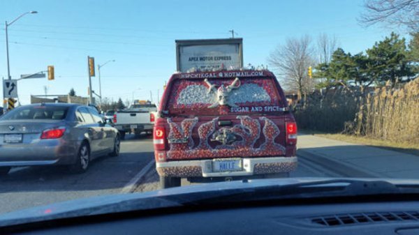 &nbsp;&nbsp;Снимка: izismile