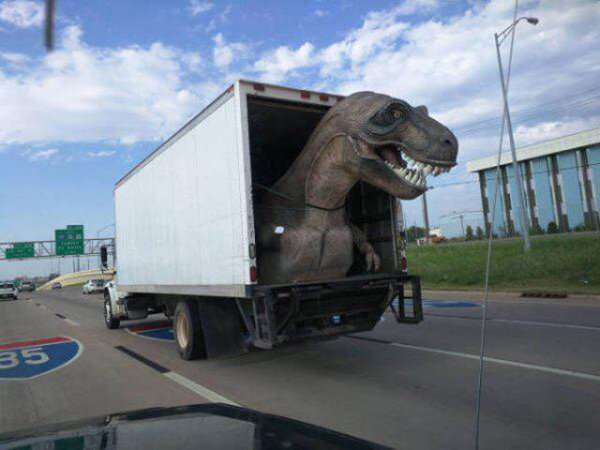 &nbsp;&nbsp;Снимка: izismile