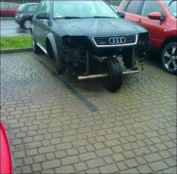 &nbsp;&nbsp;Снимка: izismile