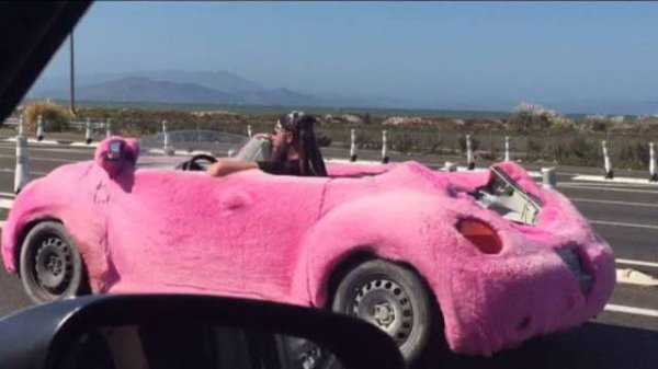 &nbsp;&nbsp;Снимка: izismile