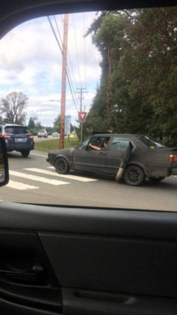 &nbsp;&nbsp;Снимка: izismile