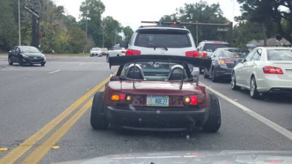 &nbsp;&nbsp;Снимка: izismile