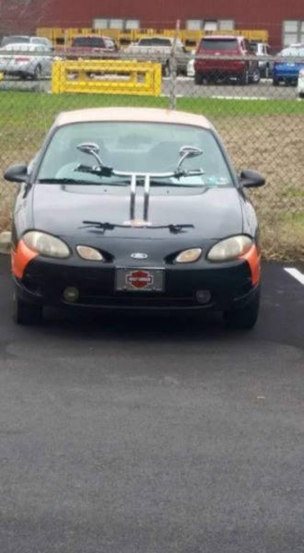 &nbsp;&nbsp;Снимка: izismile