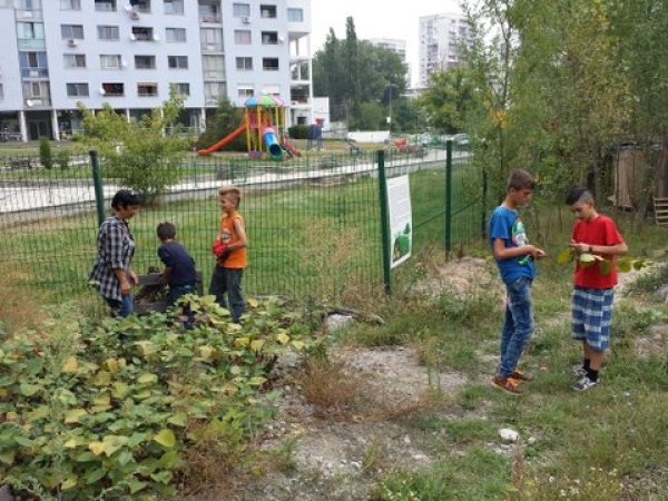Снимка: Екологично сдружение &quot;За Земята&quot;