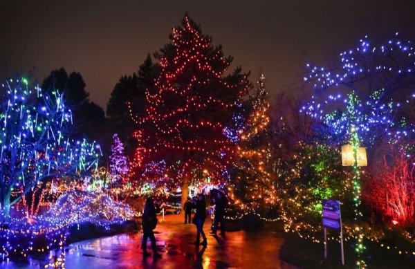 В канадския град Ванкувър се провежда фестивал на светлината. Снимка: БТА
&nbsp;