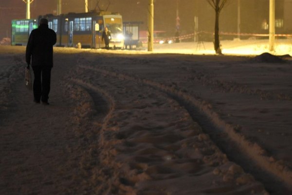 Снимка: Булфото