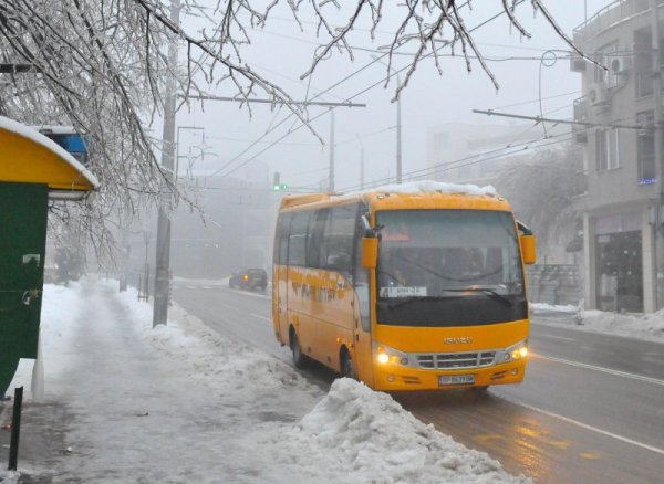 Снимка: Булфото