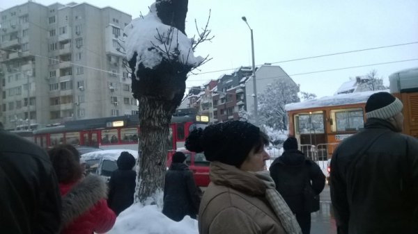 Снимка: Dnes.bg