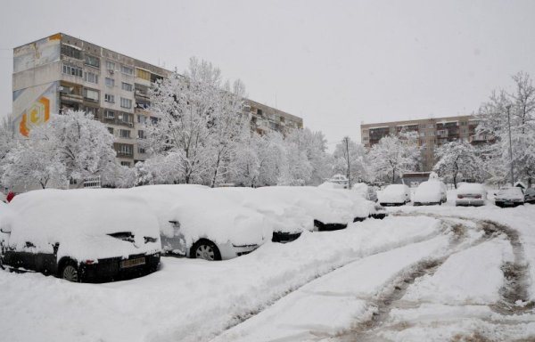 Снимка: Булфото