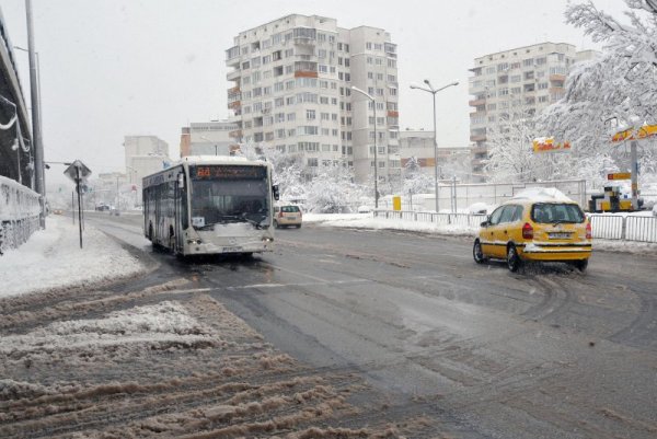 Снимка: Булфото