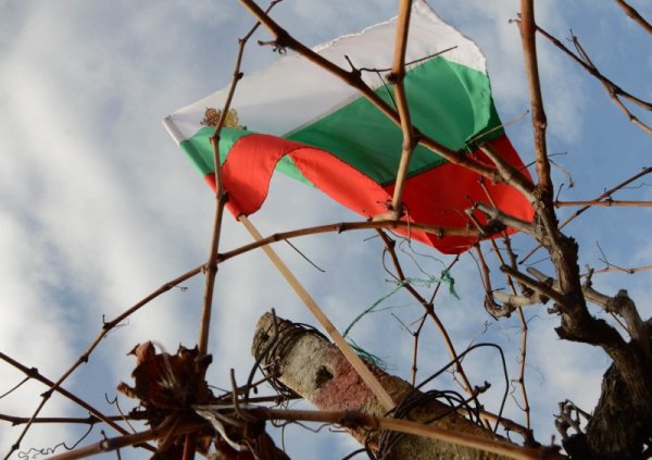 Старозагорското село Малка Верея отбеляза деня на Трифон Зарезан, който е и празник на селото. Снимка: БТА