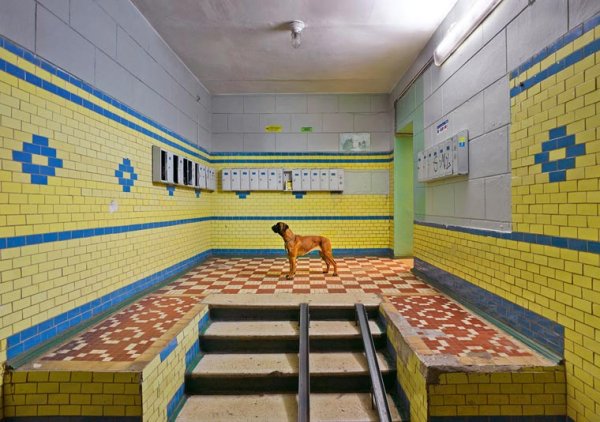 &nbsp;&nbsp;Снимка: Франк Херфорт