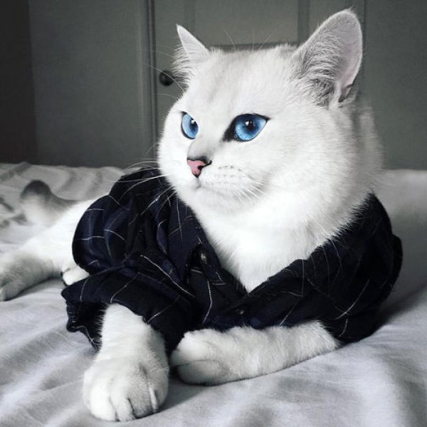 Снимка: Instagram
