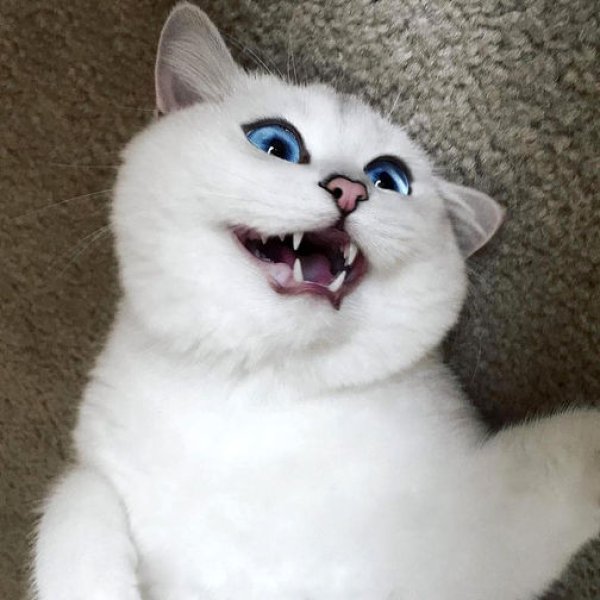 Снимка: Instagram