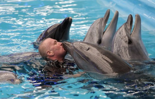 Войник от украинската армия се лекува с терапия с участието на делфини в аквариум в столицата Киев. Снимка: БТА