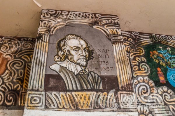 Снимка: mediacafe.bg