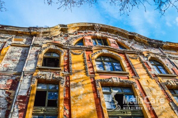 Снимка: mediacafe.bg