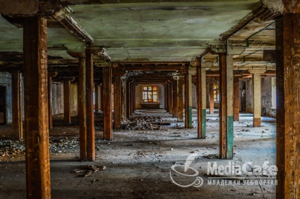 Снимка: mediacafe.bg