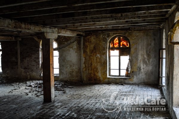 Снимка: mediacafe.bg