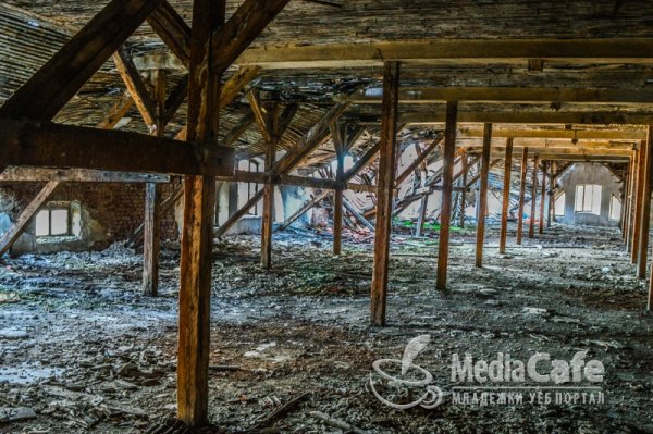 Снимка: mediacafe.bg