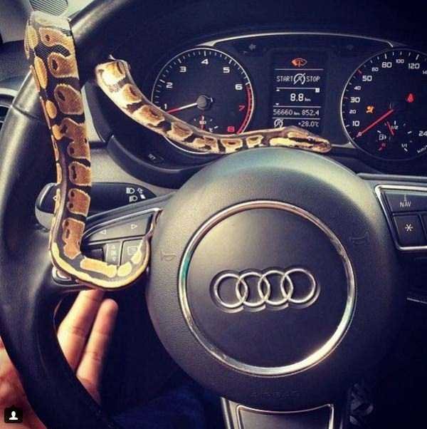 &nbsp;&nbsp;Снимка: instagram