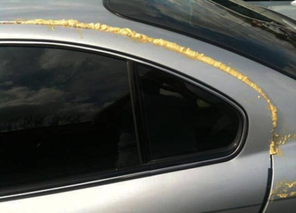 &nbsp;&nbsp;Снимка: izismile