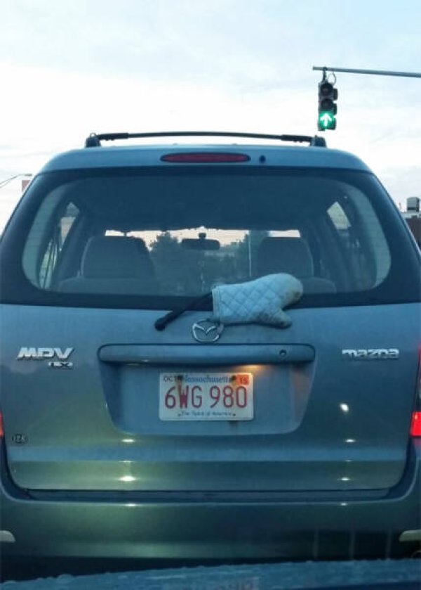 &nbsp;&nbsp;Снимка: izismile