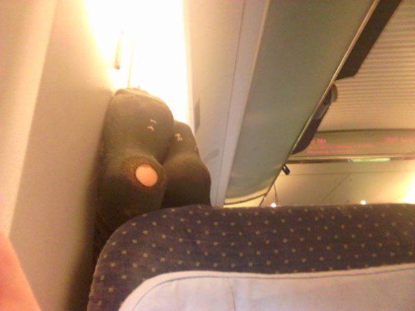&nbsp;&nbsp;Снимка: boredpanda