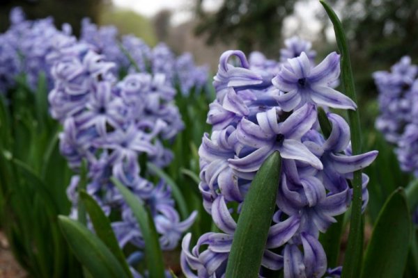 Снимка: Булфото