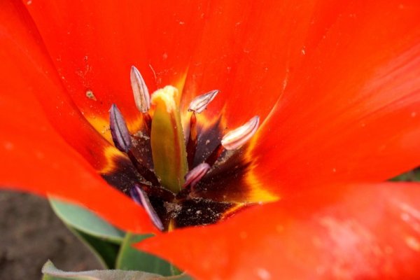 Снимка: Булфото