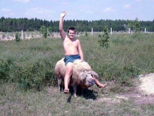   Снимка: klyker