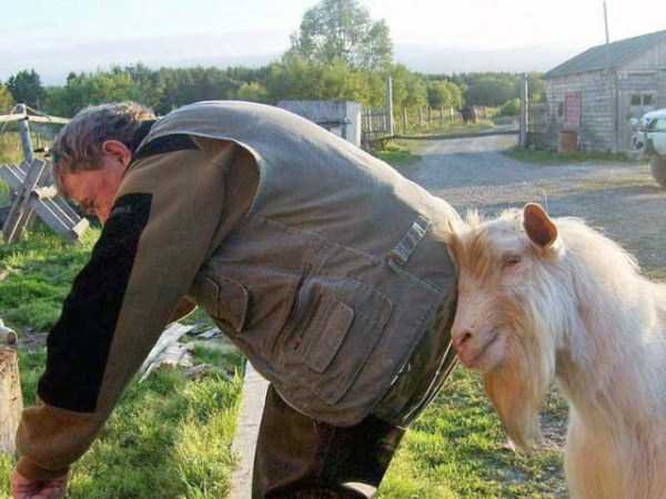   Снимка: klyker