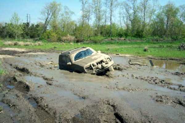   Снимка: klyker