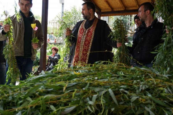 Снимка: Булфото