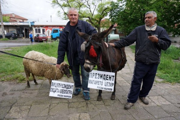 Кандидат-президентската двойка на Росен Марков. Снимка: Булфото