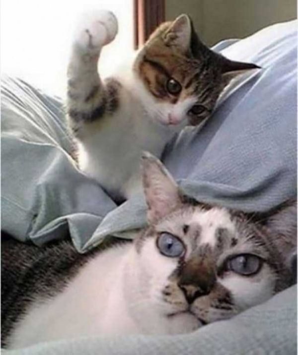 Снимка: klyker.com